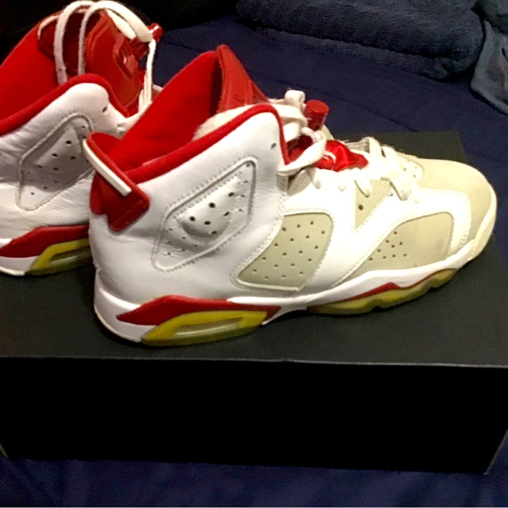 Nike Air Jordan 6 Alternate 91’